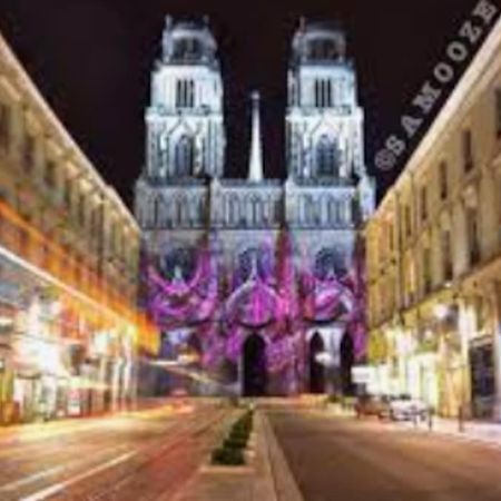 Chaleureux Appart, Proche De La Loire Avec Parking Орлеан Экстерьер фото